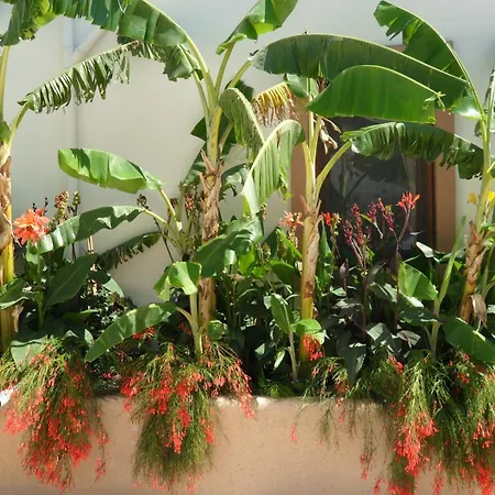 Aparthotel Ozukara 1 3*