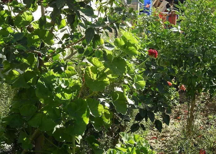 Ozukara 1 Aparthotel