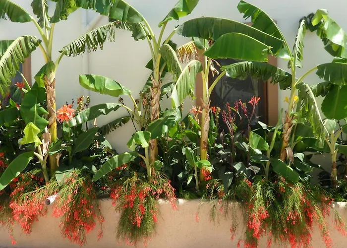 Apartmanhotel Ozukara 1 3*