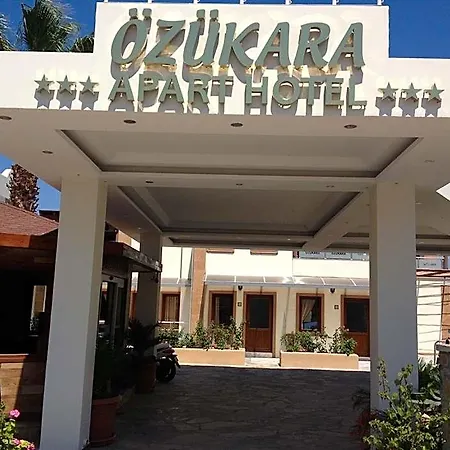 Ozukara 1